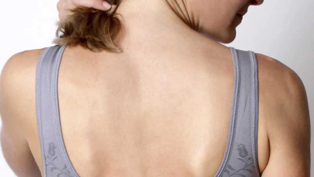 Bra-natomy: Exploring the Anatomy of a Bra for Better Understanding